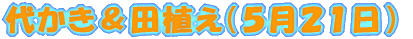 �ォ�����c�A���i�T���Q�P���j 