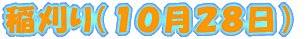 ��� 